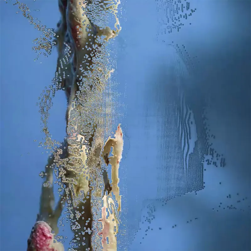 Neural Garden 2