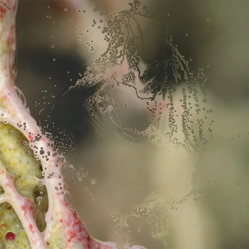 Neural Garden 2