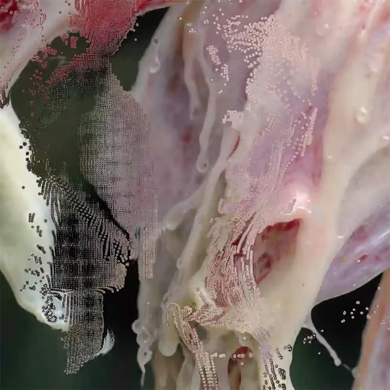 Neural Garden 2