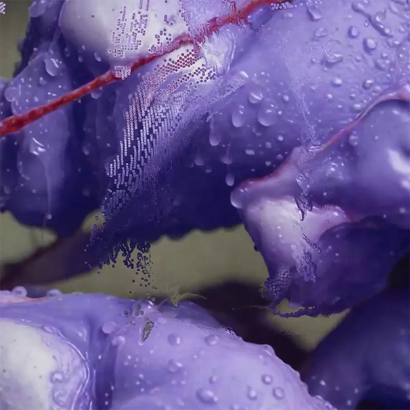 Neural Garden 2