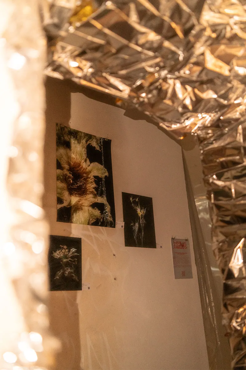 NeuralGarden