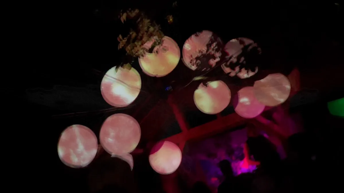 Live Visuals